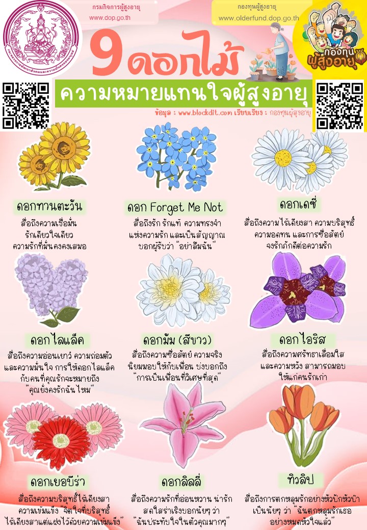 9 ดอกไม้แทนใจผู้สูงอายุ By กองทุนผู้สูงอายุ 