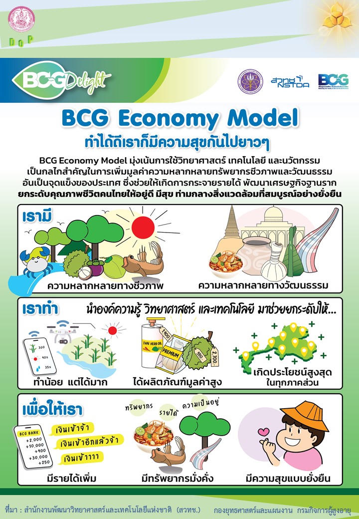 BCG Economy Model