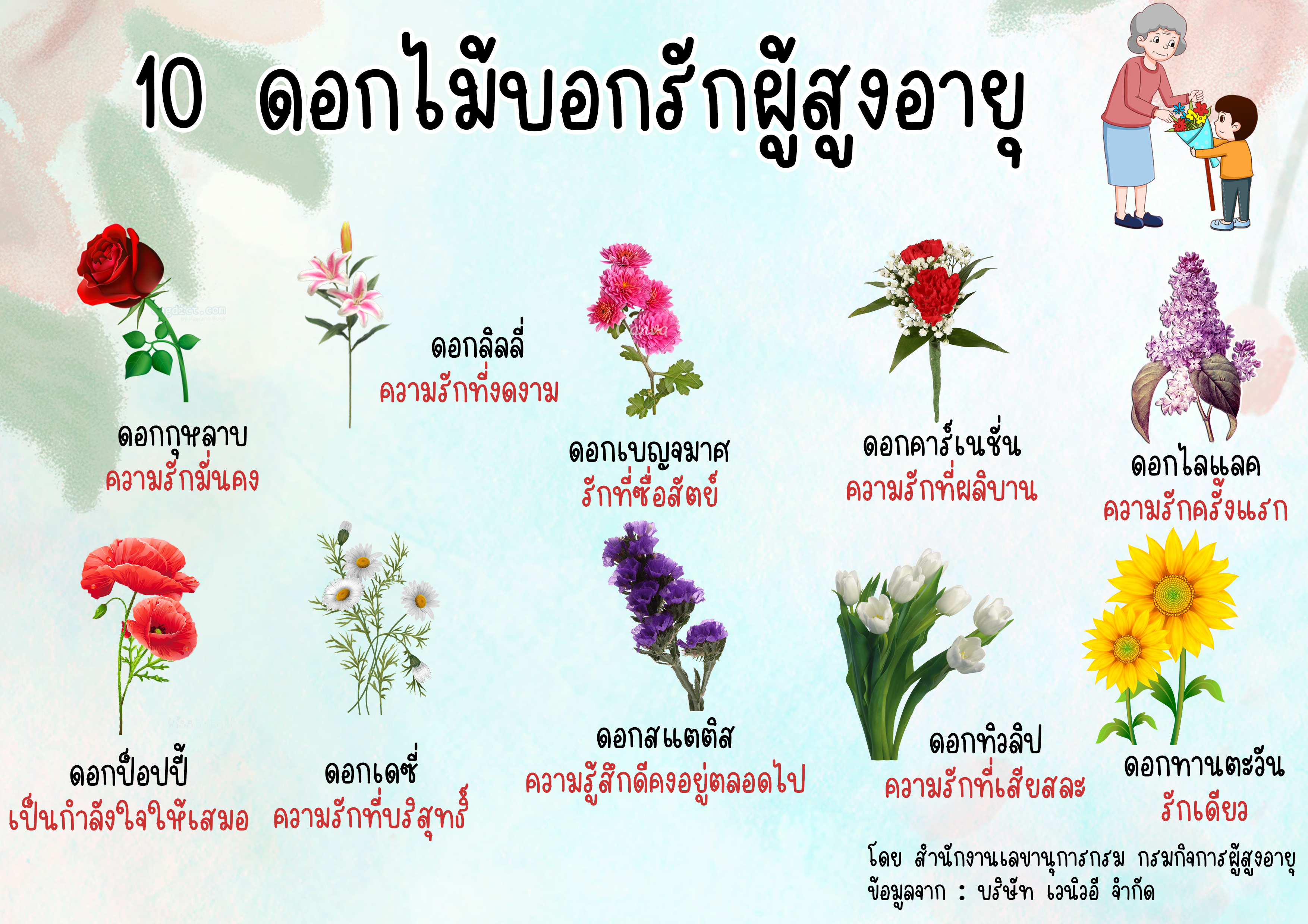 10 ดอกไม้บอกรักผู้สูงอายุ (สลก.)