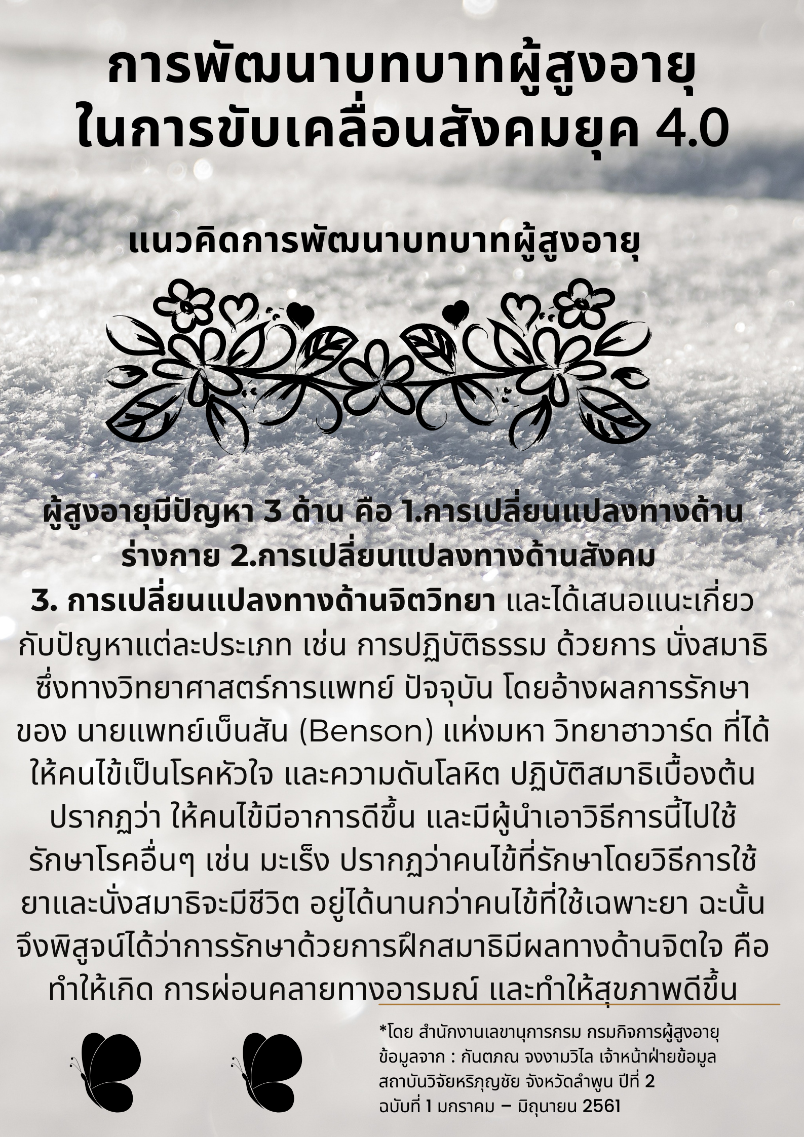 การพัฒนาบทบาทผู้สูงอายุในการขับเคลื่อนสังคมยุค 4.0 (สลก.)