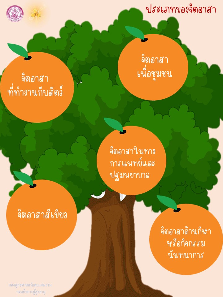 ประเภทของจิตอาสา