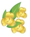 กรมกิจการผู้สูงอายุ (ผส.) กระทรวงการพัฒนาสังคมและความมั่นคงของมนุษย์