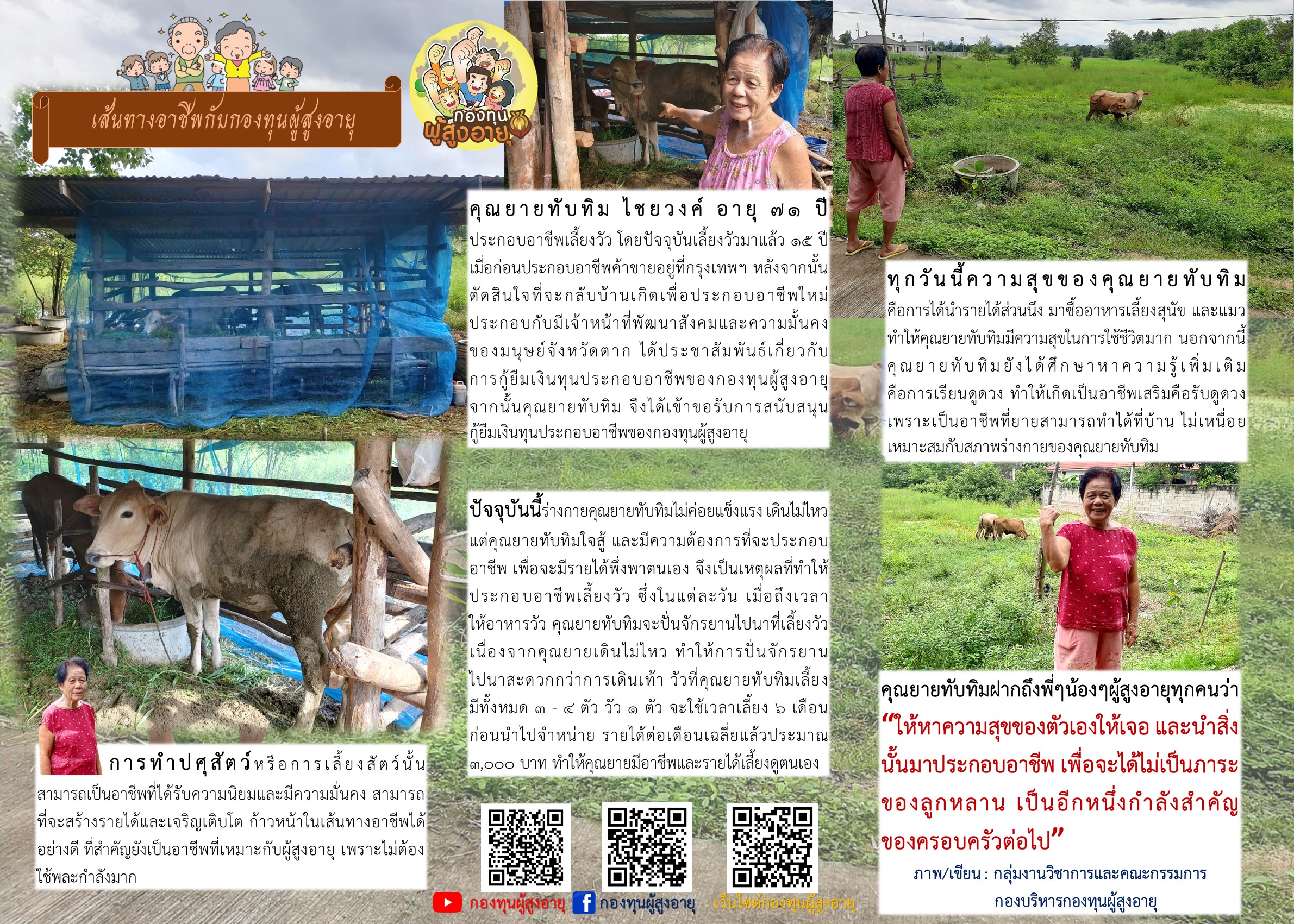 เส้นทางอาชีพ 
