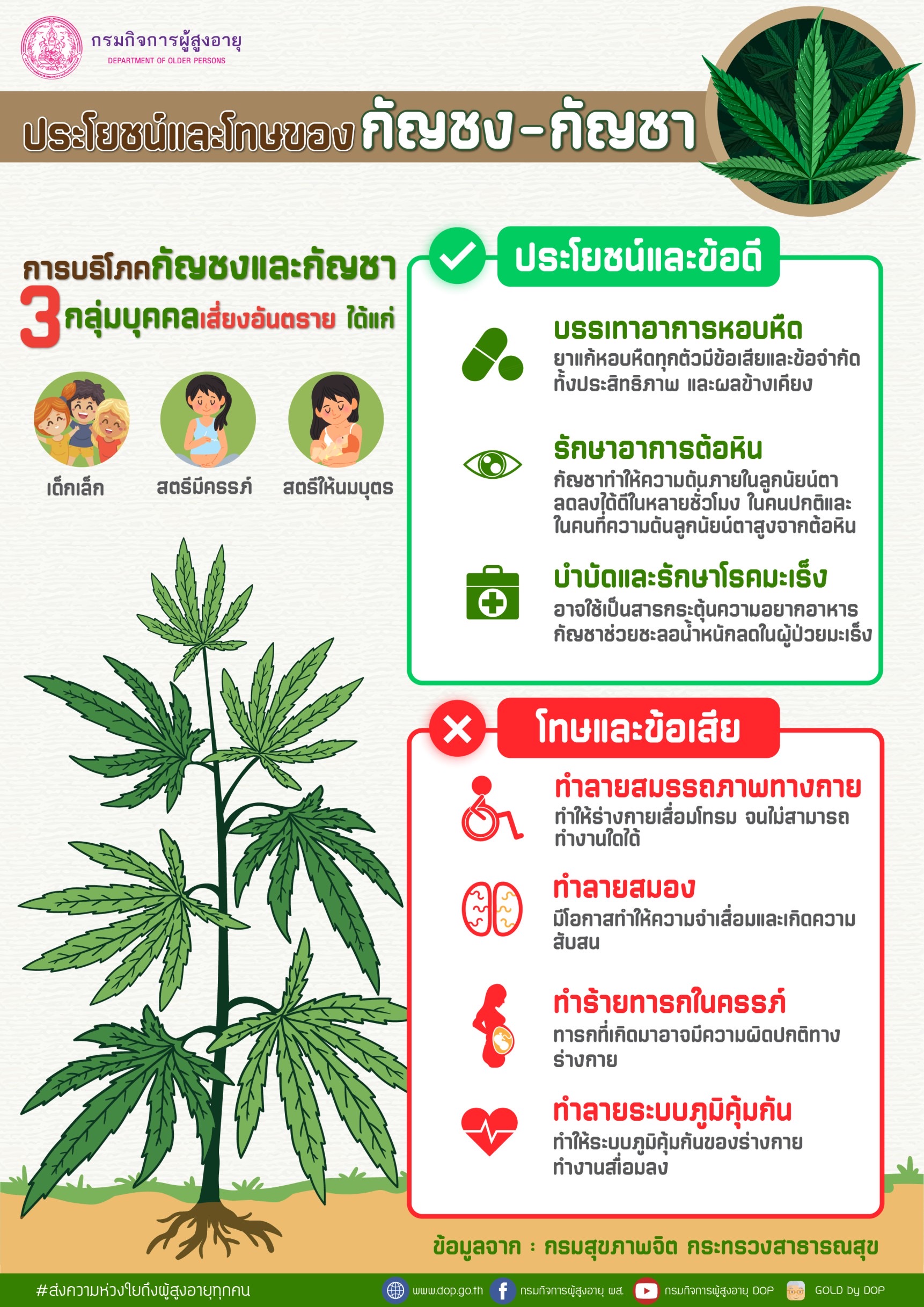 ประโยชน์และโทษ ของ กัญชงและกัญชา