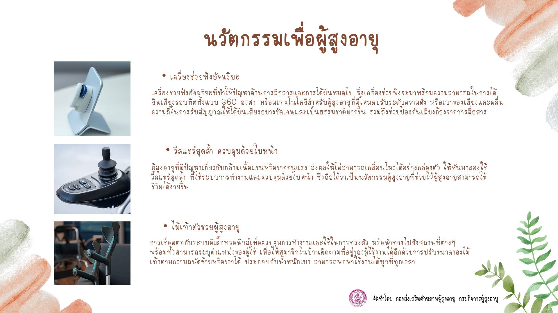 นวัตกรรมเพื่อผู้สูงอายุ (สศส.)