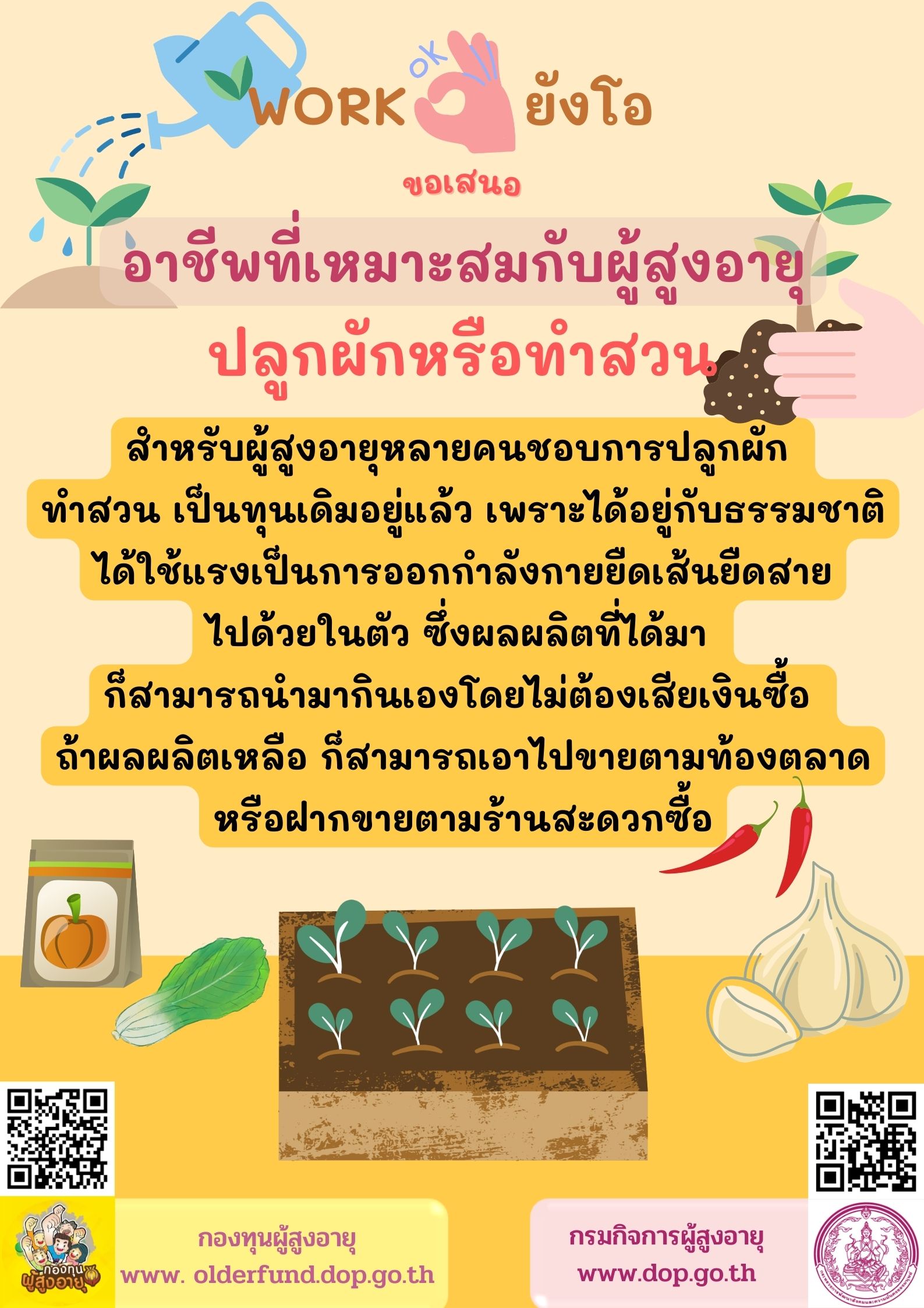 WORKยังโอขอเสนอ 10 อาชีพที่เหมาะสมกับผู้สูงอายุ 