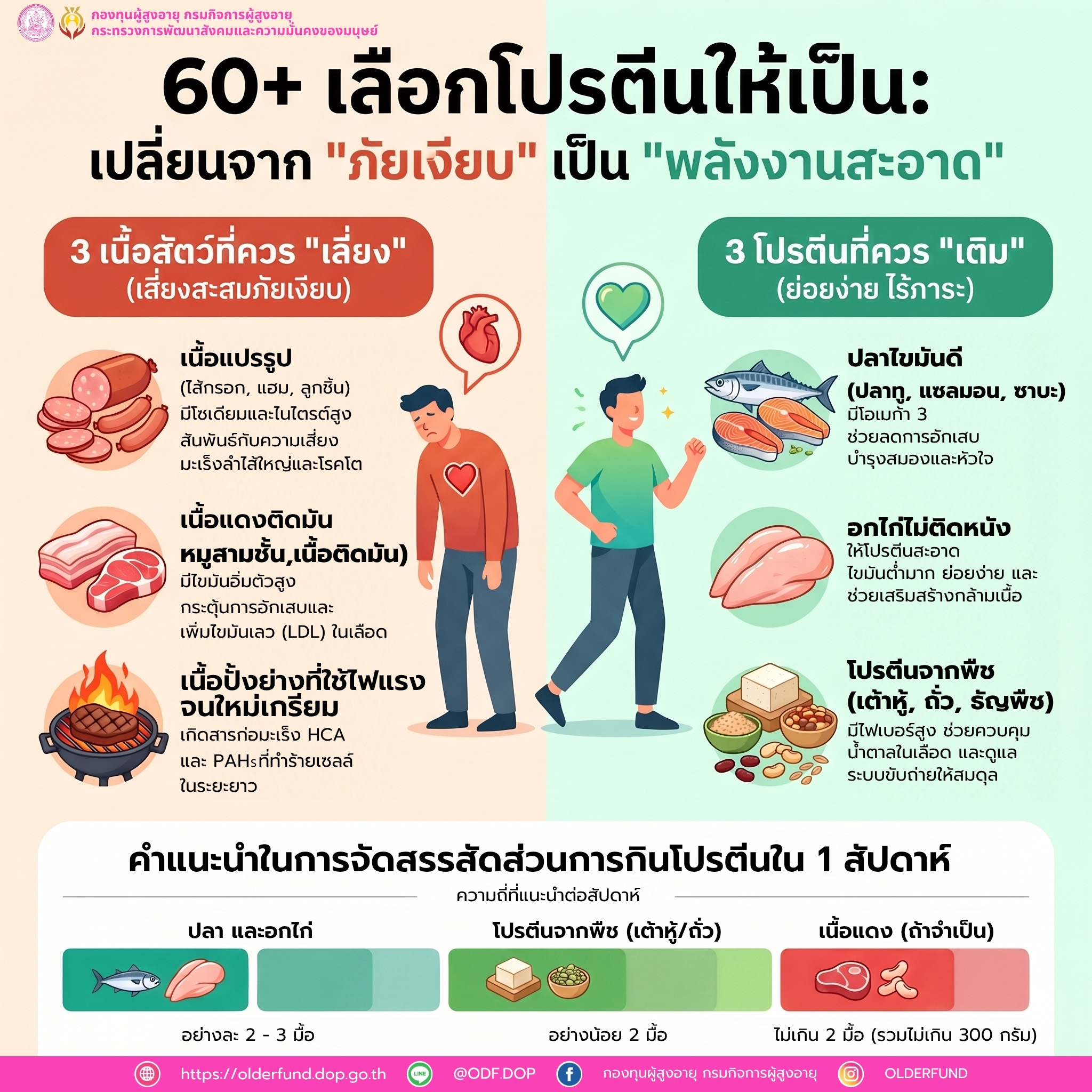 60+ เลือกโปรตีนให้เป็น: เปลี่ยนจาก 